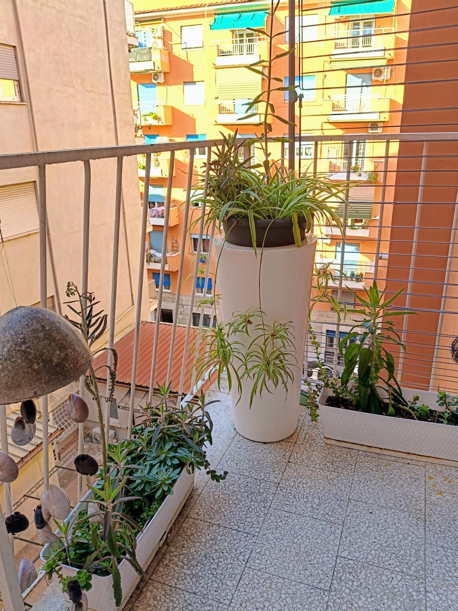 Apartment Un Angolo Di Oriente A Due Passi Da San Pietro Rom